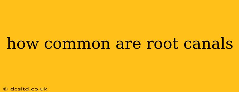how common are root canals