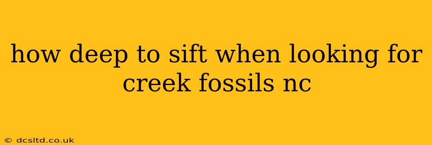 how deep to sift when looking for creek fossils nc