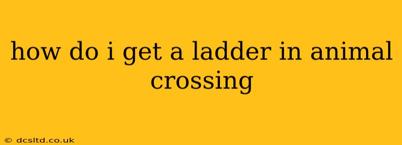 how do i get a ladder in animal crossing