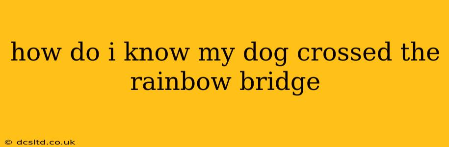 how do i know my dog crossed the rainbow bridge