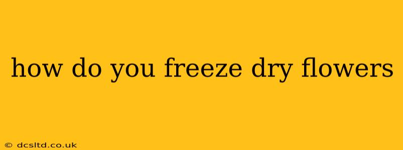 how do you freeze dry flowers