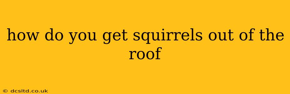 how do you get squirrels out of the roof