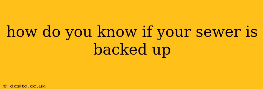 how do you know if your sewer is backed up