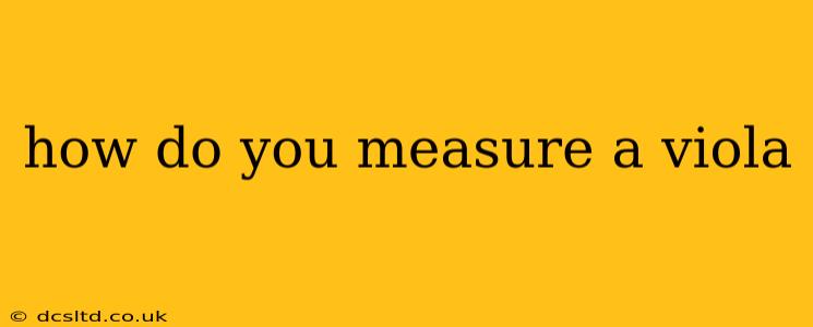 how do you measure a viola