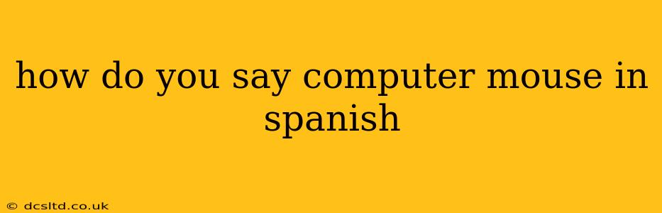 how do you say computer mouse in spanish