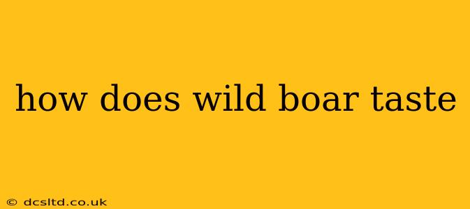 how does wild boar taste