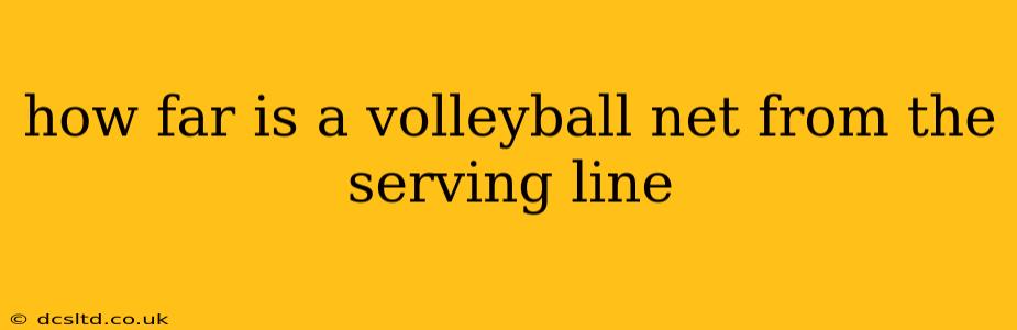 how far is a volleyball net from the serving line
