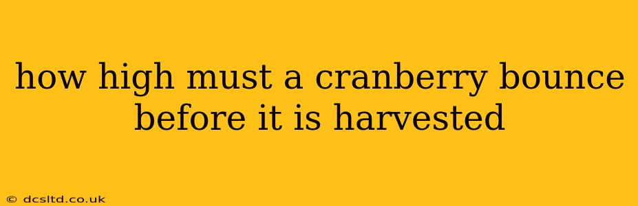 how high must a cranberry bounce before it is harvested