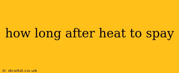 how long after heat to spay