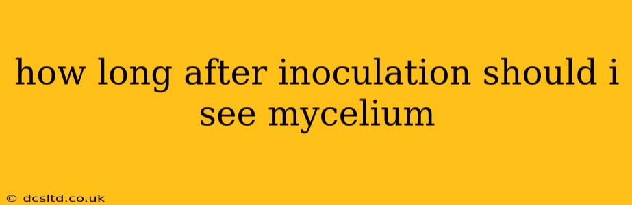 how long after inoculation should i see mycelium