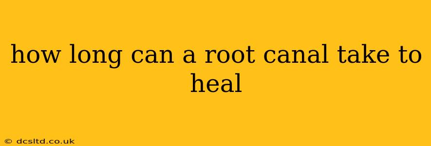 how long can a root canal take to heal
