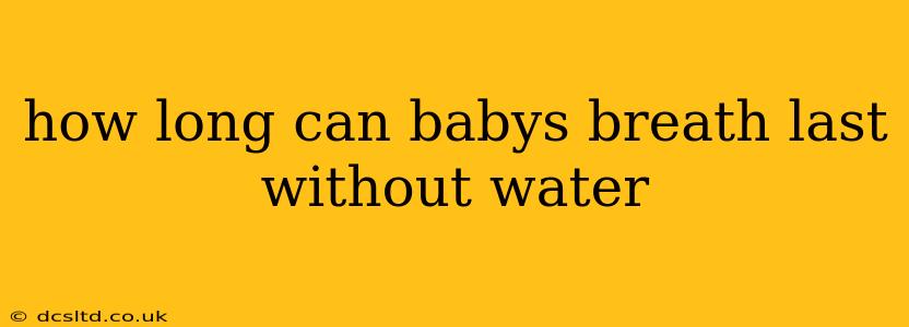 how long can babys breath last without water