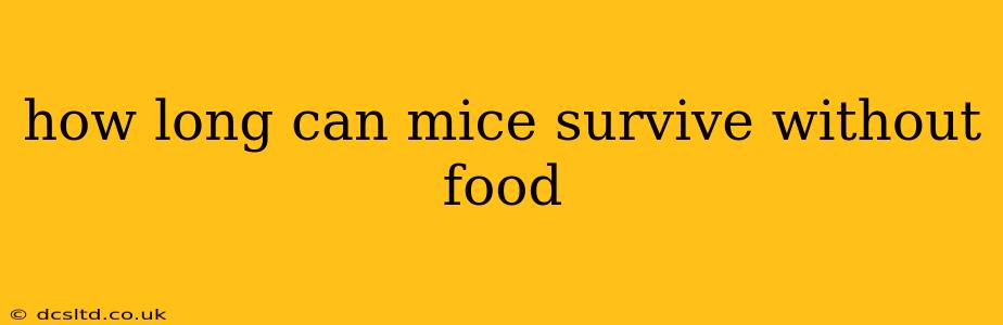 how long can mice survive without food