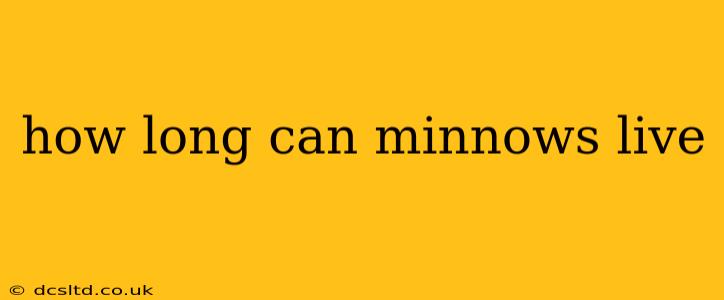 how long can minnows live
