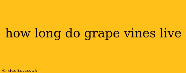 how long do grape vines live