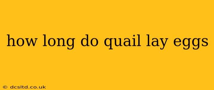 how long do quail lay eggs