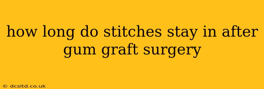 how long do stitches stay in after gum graft surgery