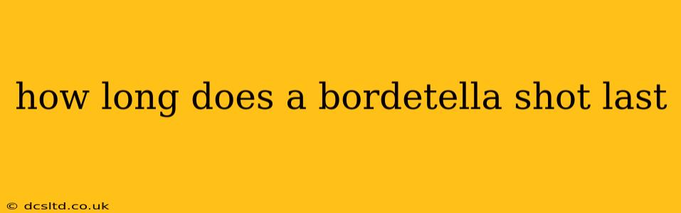 how long does a bordetella shot last