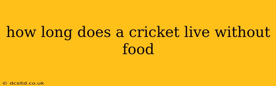 how long does a cricket live without food