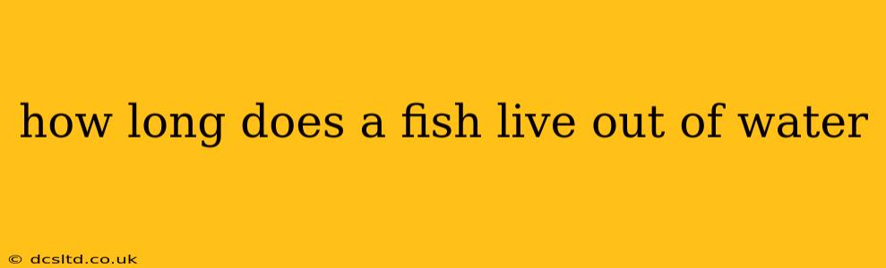 how long does a fish live out of water