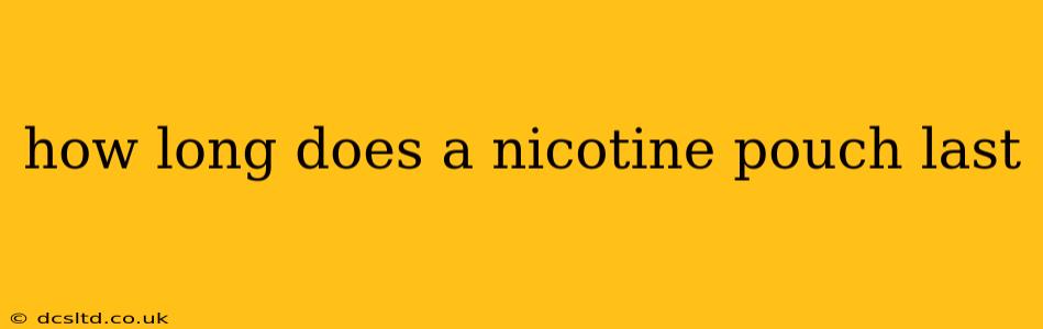 how long does a nicotine pouch last