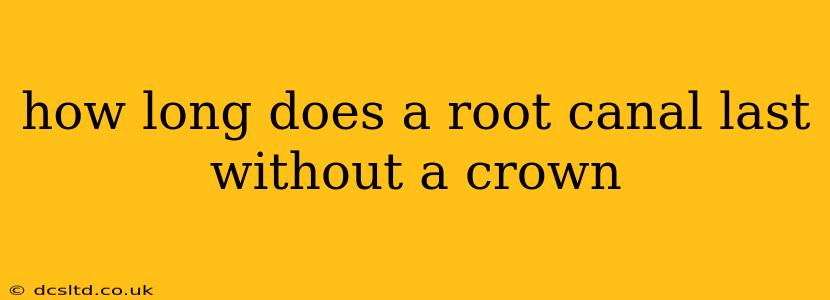 how long does a root canal last without a crown