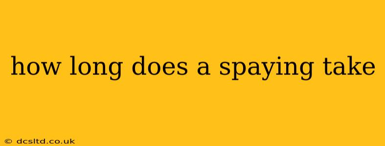 how long does a spaying take