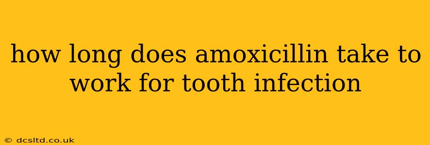 how long does amoxicillin take to work for tooth infection