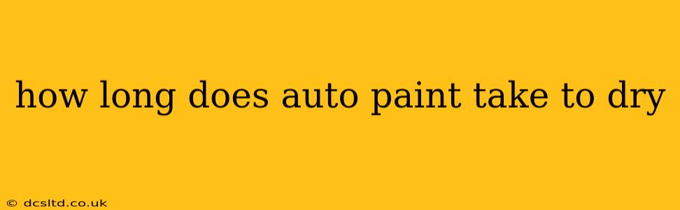 how long does auto paint take to dry