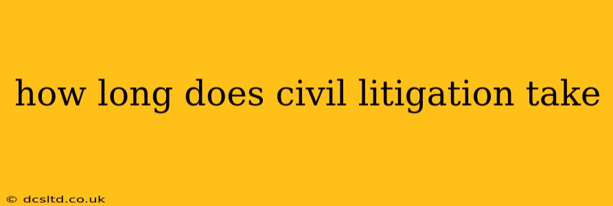 how long does civil litigation take