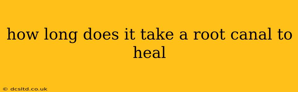 how long does it take a root canal to heal