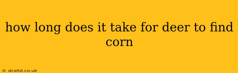 how long does it take for deer to find corn