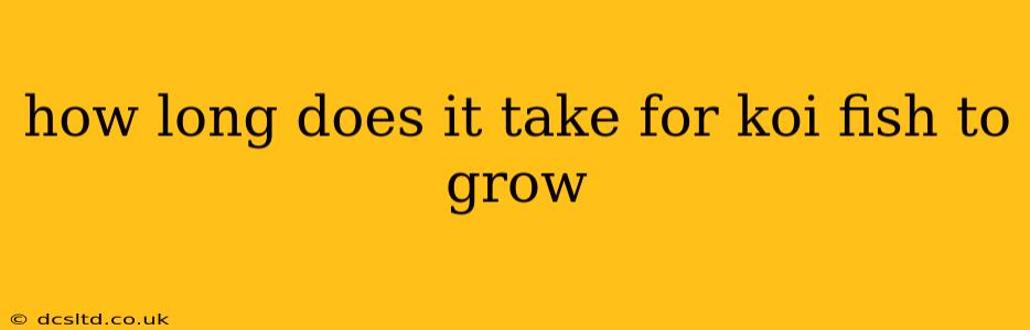 how long does it take for koi fish to grow