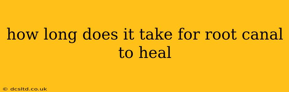 how long does it take for root canal to heal