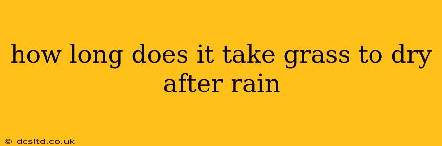 how long does it take grass to dry after rain