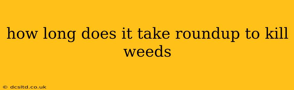 how long does it take roundup to kill weeds