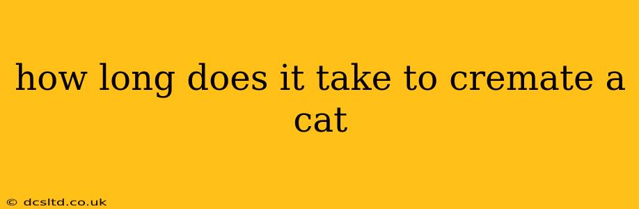 how long does it take to cremate a cat