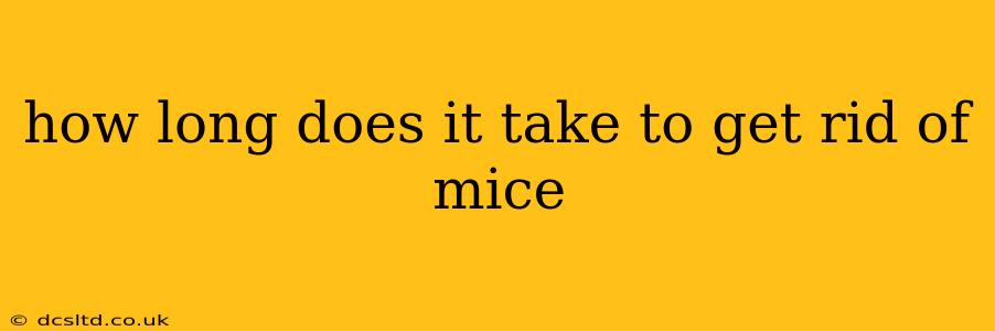 how long does it take to get rid of mice