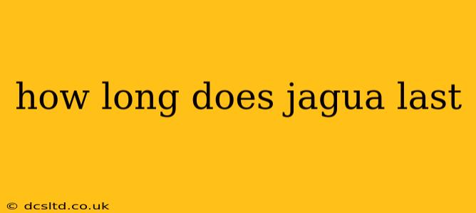 how long does jagua last