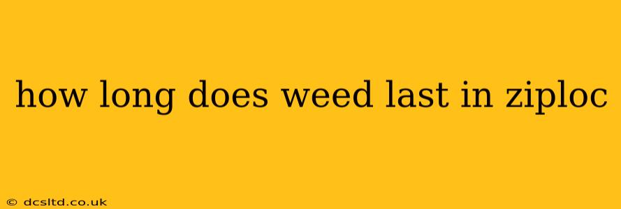 how long does weed last in ziploc