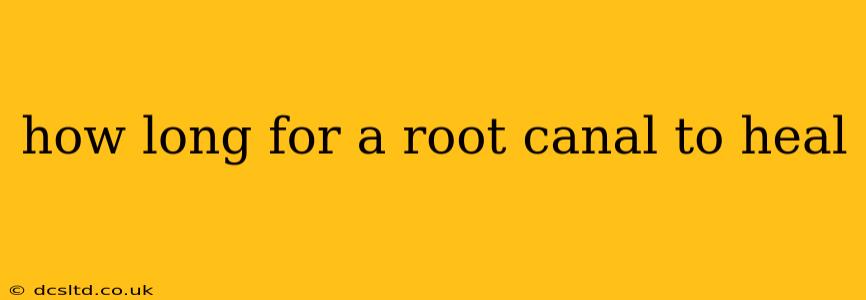 how long for a root canal to heal