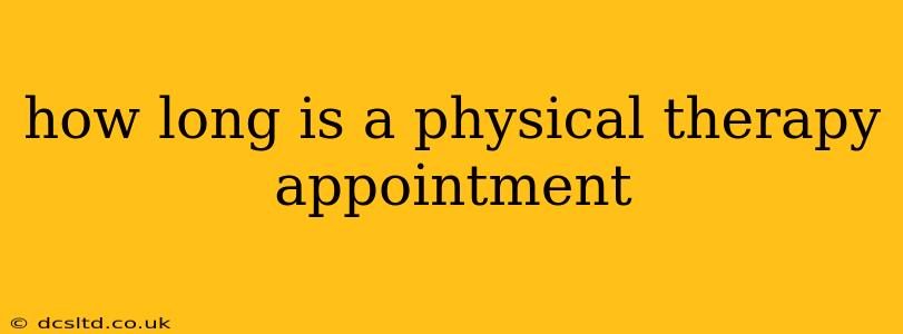 how long is a physical therapy appointment
