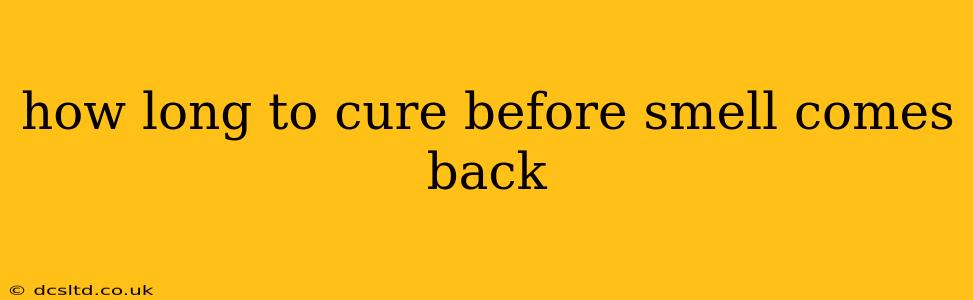 how long to cure before smell comes back