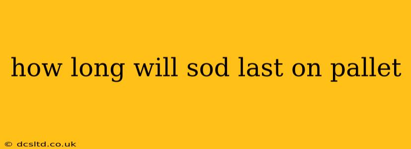 how long will sod last on pallet