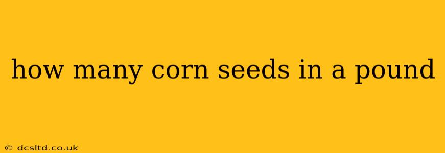 how many corn seeds in a pound