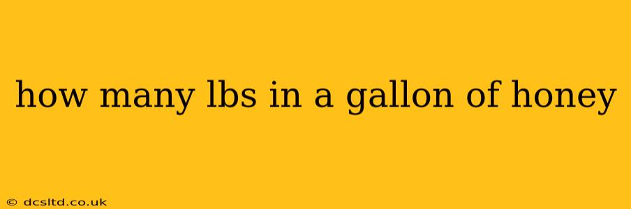 how many lbs in a gallon of honey