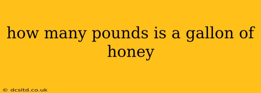 how many pounds is a gallon of honey