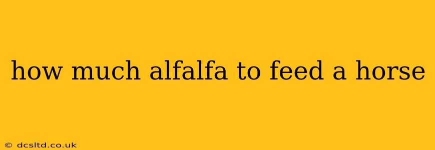 how much alfalfa to feed a horse