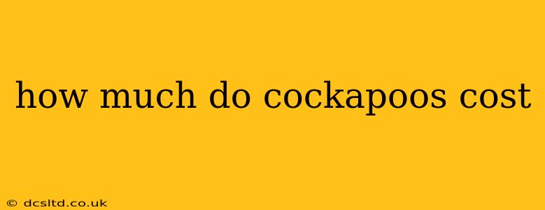 how much do cockapoos cost