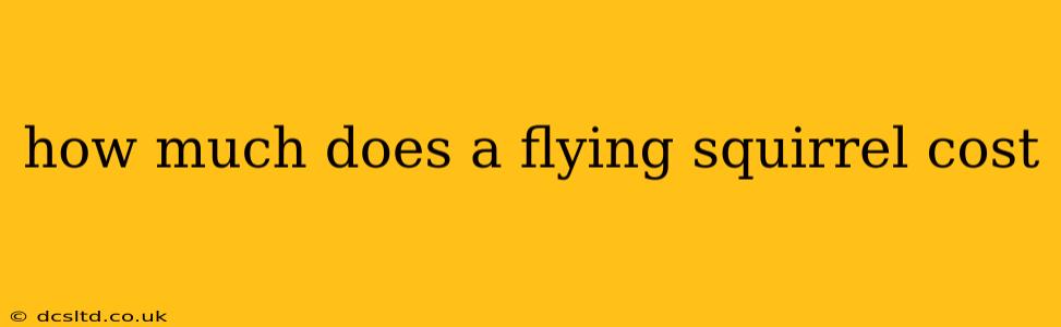 how much does a flying squirrel cost